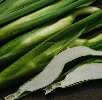 画像：野菜