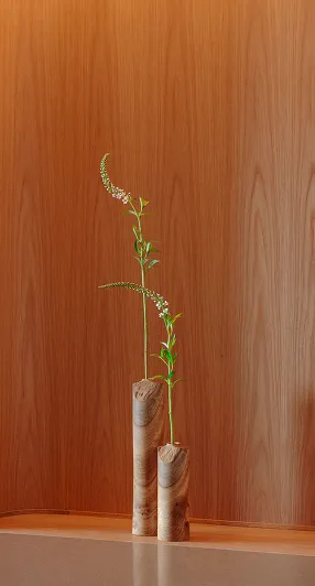 画像：客室のインテリア