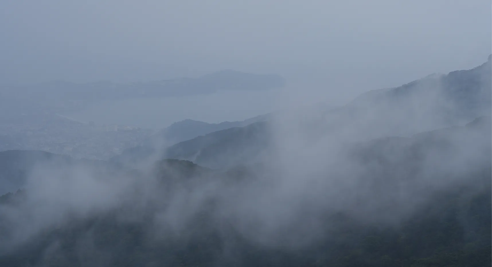 画像：