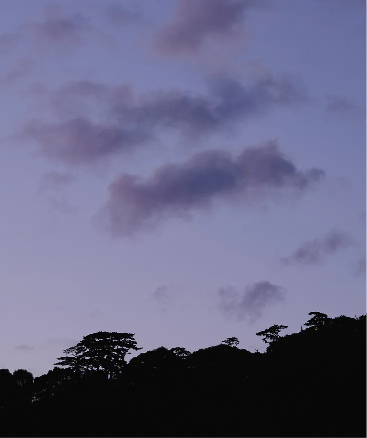画像:夕方の景色