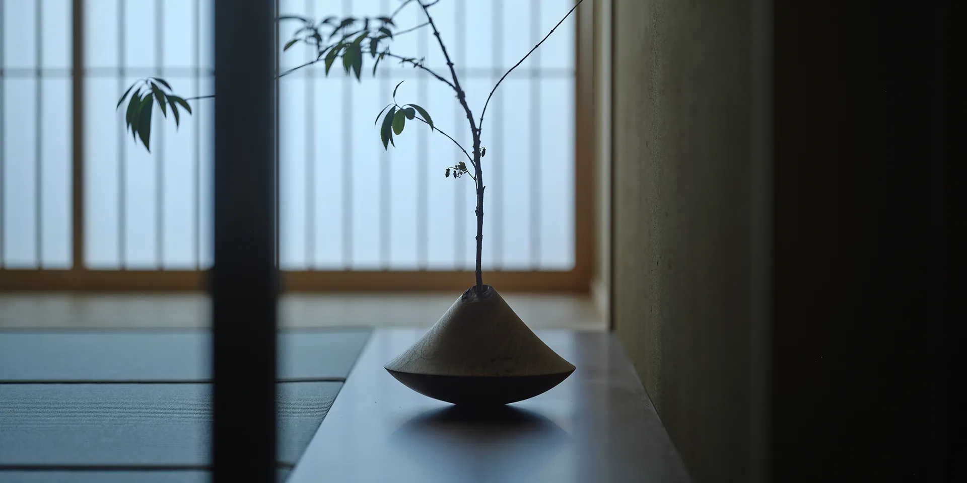 画像：